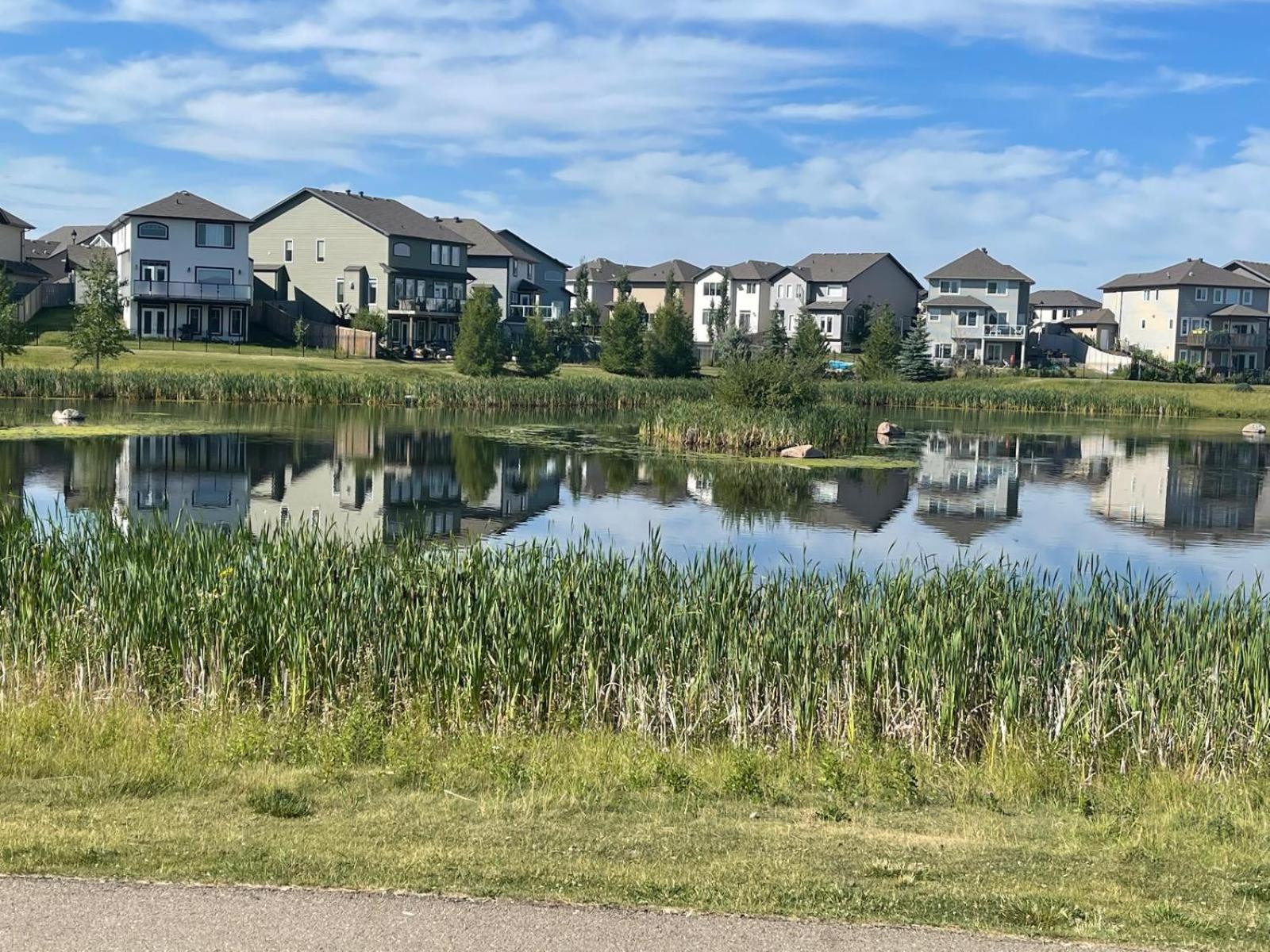 The Cozy Cove - Modern Private Basement With Comfort & Charm, Free Parking, Wifi, Netflix Close To Airport & 18 Minutes To West Mall * Edmonton