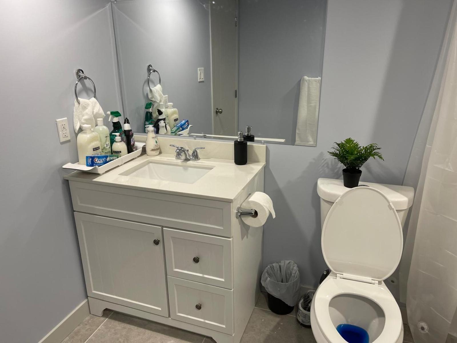 The Cozy Cove - Modern Private Basement With Comfort & Charm, Free Parking, Wifi, Netflix Close To Airport & 18 Minutes To West Mall Apartment *
